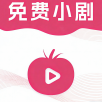 影视圈安卓手机版下载